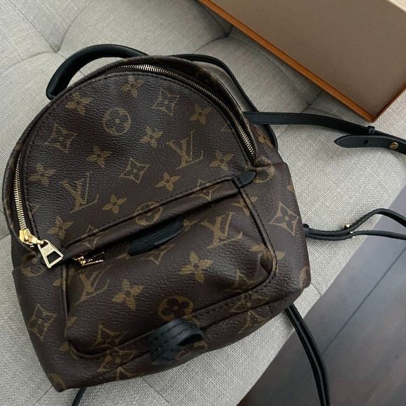 Louis Vuitton Palm Springs backpack